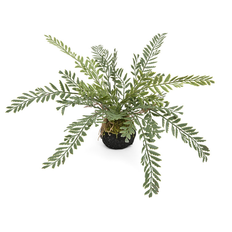 Primrue Faux Fern Plant Wayfair Canada